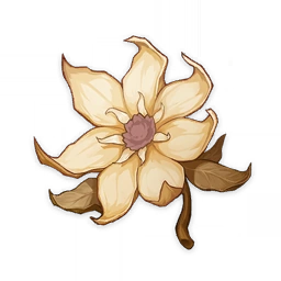 바람에 말린 꽃